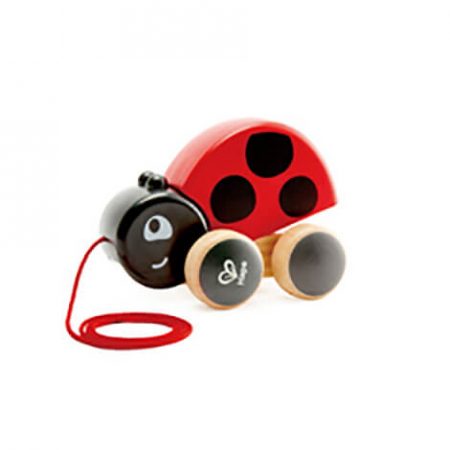 Pull Along Lady Bug