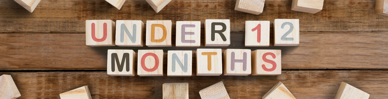 Under 12 Months banner