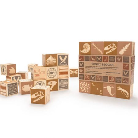Fossil Wooden Blocks