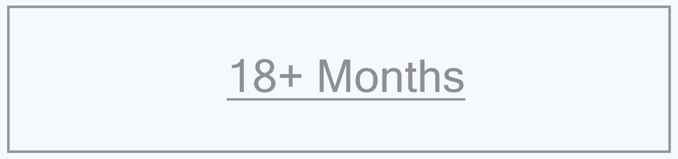 18+ Months banner
