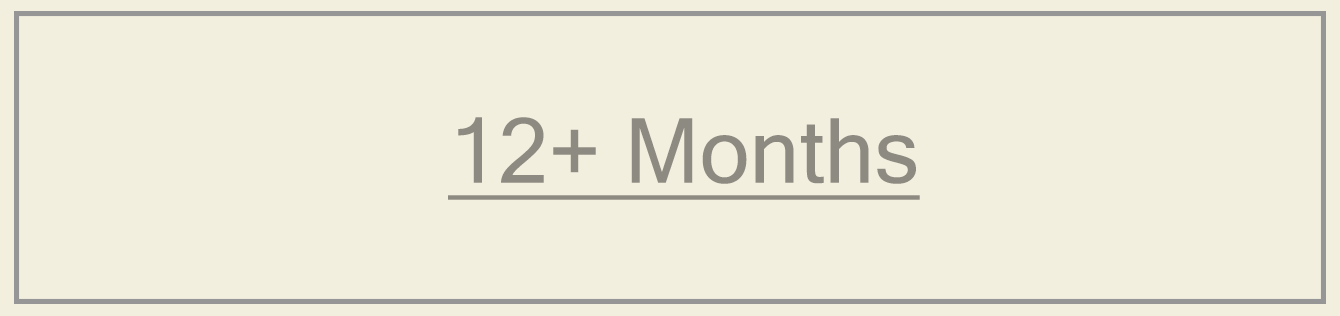 12+ Months banner