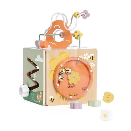 Honeybee Activity Cube