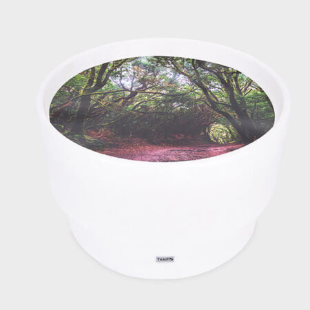 Sensory Mood Discovery Table & Forest Mat