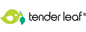 Tender Leaf Toys